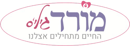 השותפים שלנו